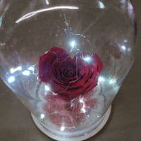 Forever Rose in Dome | Luxury Valentine’s Day Gift