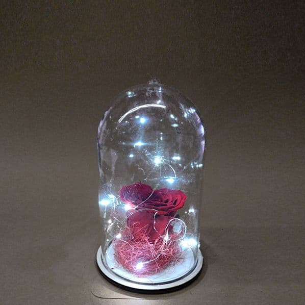 Forever Rose in Dome | Luxury Valentine’s Day Gift