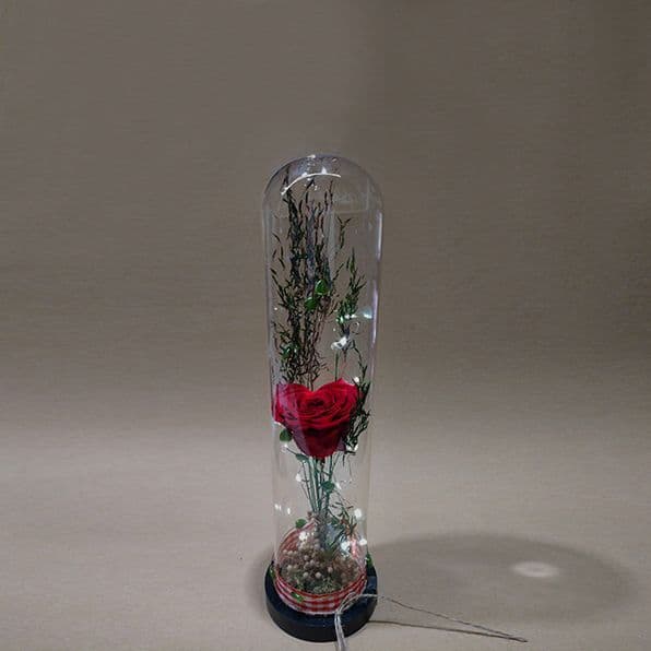 Forever Rose in Dome | Luxury Valentine’s Day Gift