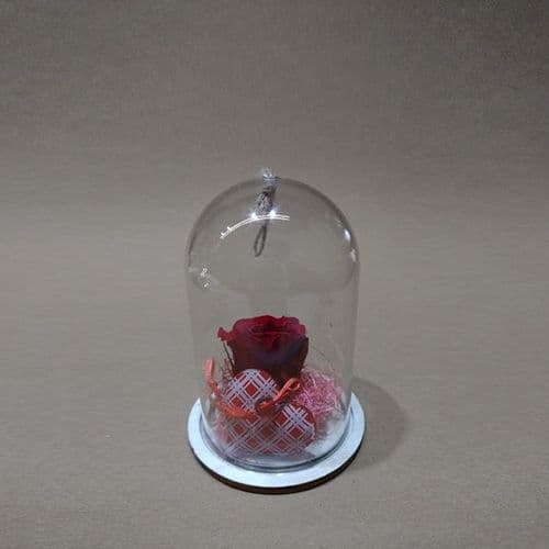 Mini Forever Rose in a Plexi Glass Dome