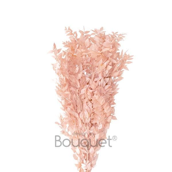 PRESERVED PASTEL PINK RUSCUS / ΚΕΡΩΜΕΝΟ ΡΟΥΣΚΟΥΣ ΠΑΣΤΕΛ ΡΟΖ