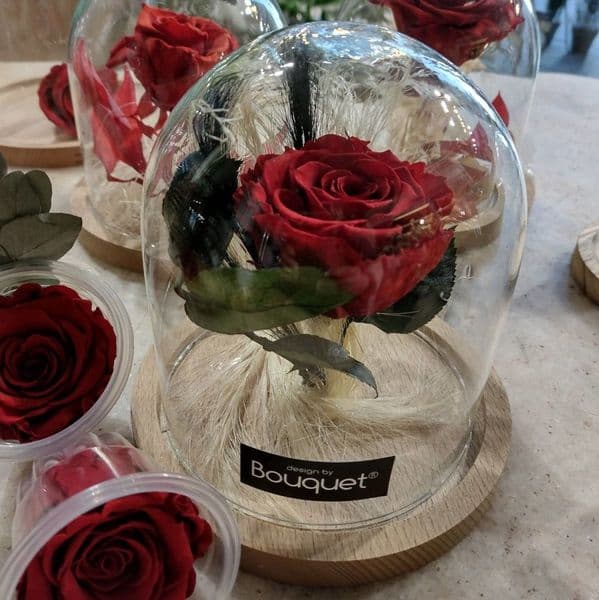 Red forever rose in a dome / Διατηρημενο τριανταφυλλο μεσα σε θολο