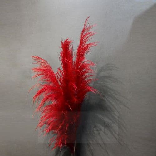 Red Pampas Grass - 130cm