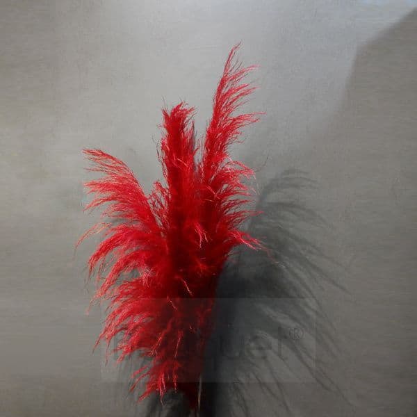 Red Pampas Grass - 130cm