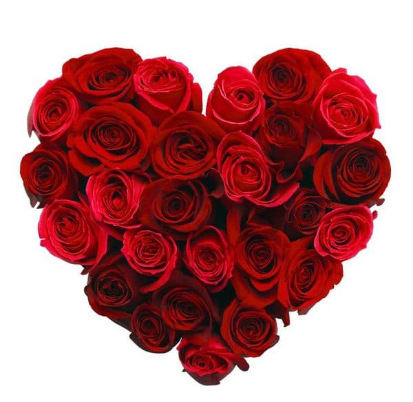 ROSE HEART LARGE