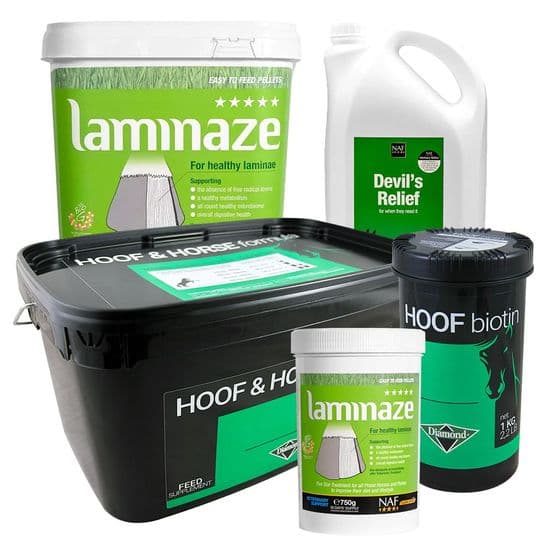 Horse Supplements