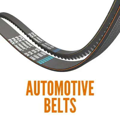 AUTOMOTIVE FAN/DRIVE BELTS