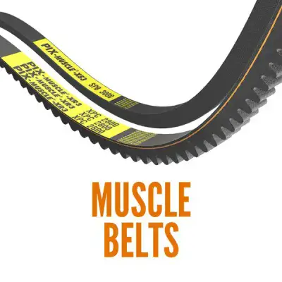 MUSCLE 3 V-BELTS