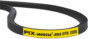 SPZ2000 MUSCLE 3 BELT 10x2000 Lp 1
