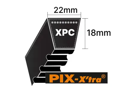 XPC