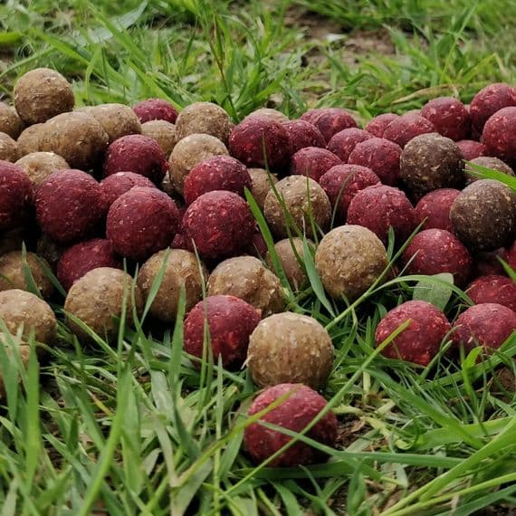 3kg Boilies ( £8.95/kg )