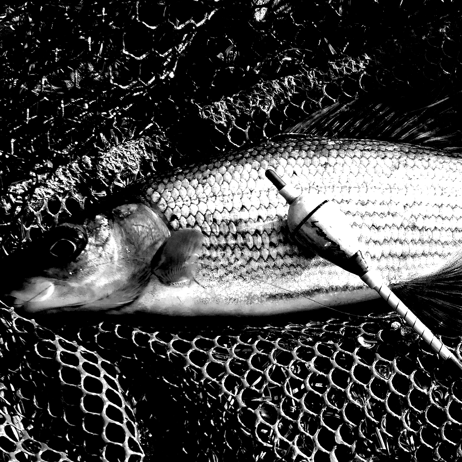 Custom Float Rods / Built to order