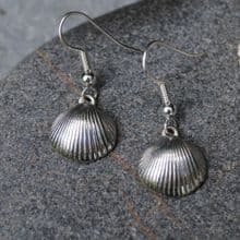 Cockleshell earrings E77