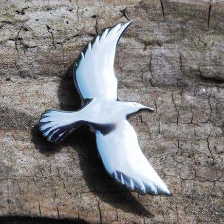 Cornish Chough brooch B87