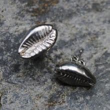 Cowrie shell studs E108