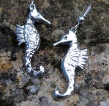 Seahorse earrings E43