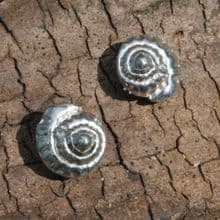 Spiral shell studs E111