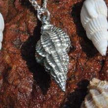 Whelk shell pendant P112