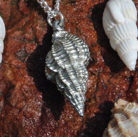 Whelk shell pendant P112