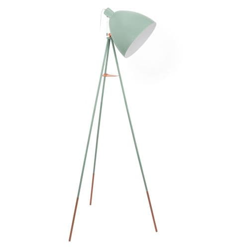 Eglo Dundee Floor Light 49342 EU By Massive Lighting