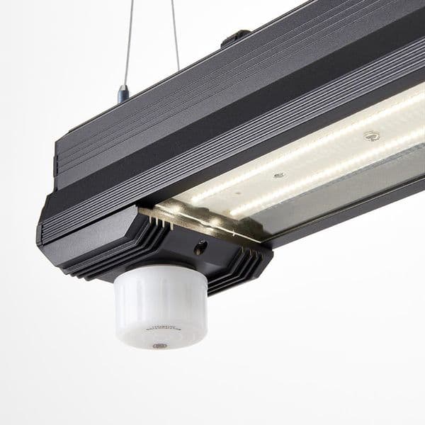 Saxby Helios Microwave Sensor 106745 By Massive Lighting