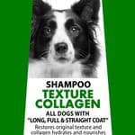 Texture Collagen Shampoo - Controlled Volume