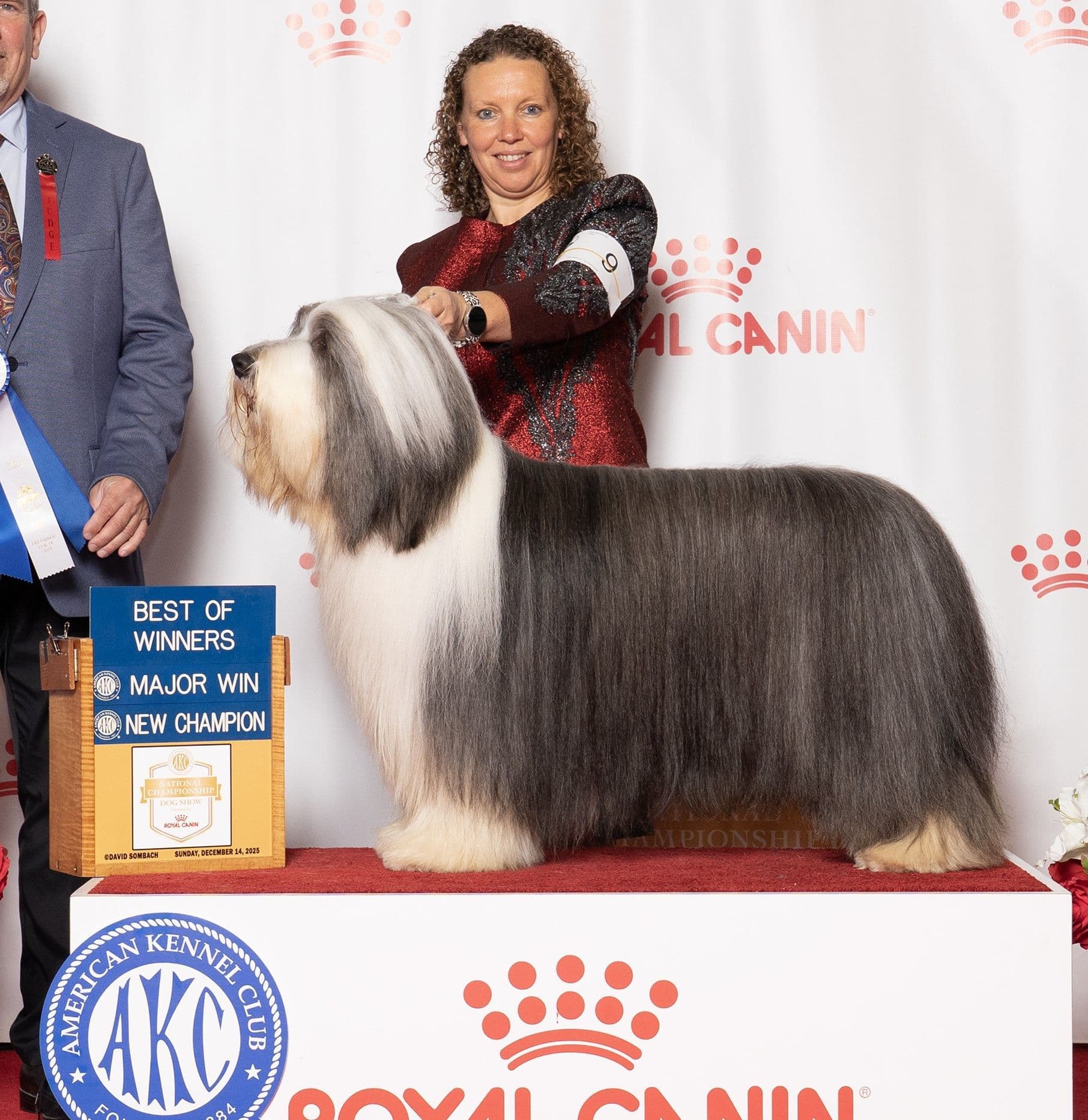 Best Dog Shampoo for Bearded Collie Champions