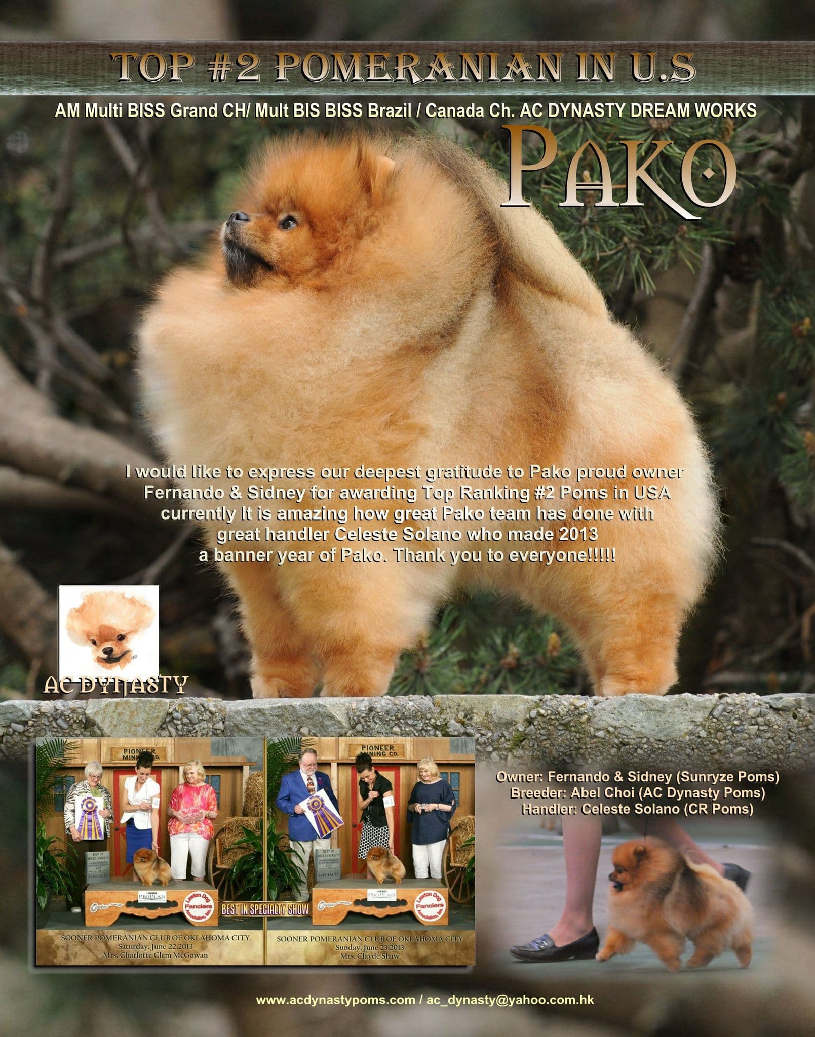 Best Dog Shampoo for Pomeranian