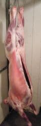 Half Fresh English Local Lamb