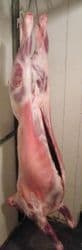 Whole Fresh Local Lamb