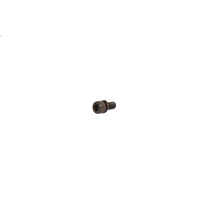Check Strap Bolt, M6x15: T2 Bay 1968-1975