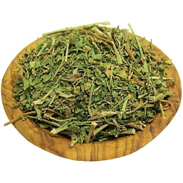 Epazote Buy Online Authentic Mexican Herbs UK Europe