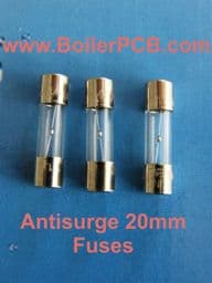 Fuses 2.5A 20mm  Antisurge 10 Pack