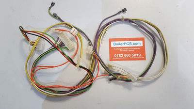 Wiring Loom 5101352 for early Suprima Boilers with 407750 or 5102160 PCBs