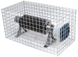 BN Thermic SWG-3 Guard For SWD Heaters 1075mm