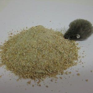 Bearts Poultry Layers Meal / Mash