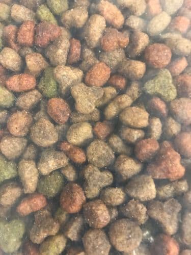 Countryside Cat Food 10kg