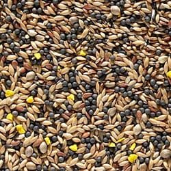 Johnston & Jeff Favourite Canary Seed - 20kg