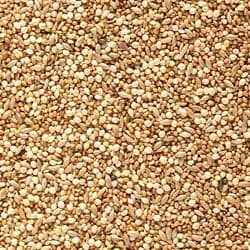 Johnston & Jeff Foreign Finch Seed - 20kg