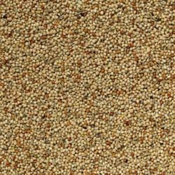 Johnston & Jeff Utility Budgie Seed - 20kg