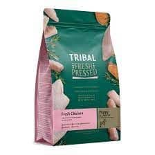 Tribal Puppy Chicken