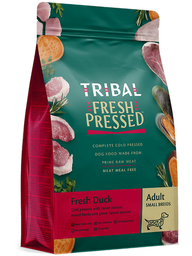Tribal Small Breed Duck