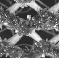 225 mm  Klingspor AN 400 Abrasive Screen Aluminium Oxide Sanding Discs