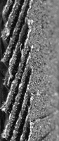 9 inch 230 mm Aluminium Oxide Abrasive Flap Discs
