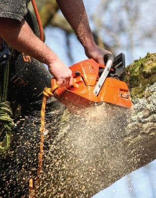 Chain Saw Operators Induction Manual