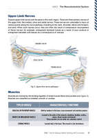 DSE/VDU Training Manual