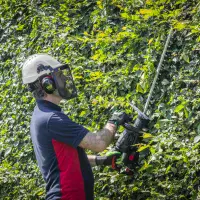 Forestry Kit 502YFK Visor | Sealey