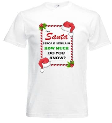 Santa before I explain  tshirts ADULTS