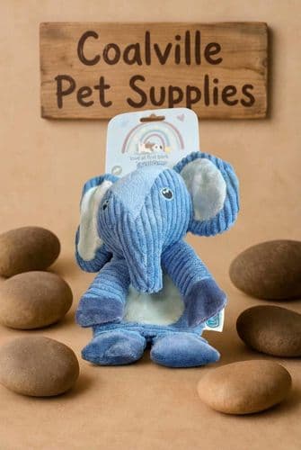 Baby Elephant Dog toy