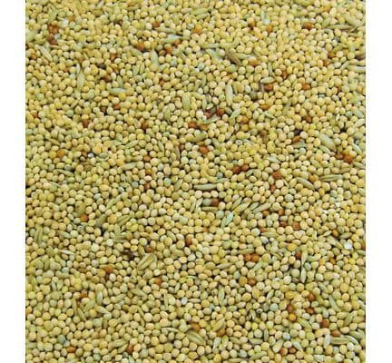 BBB Budgie 20kg